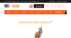 Desktop Screenshot of haskacelikkapi.com